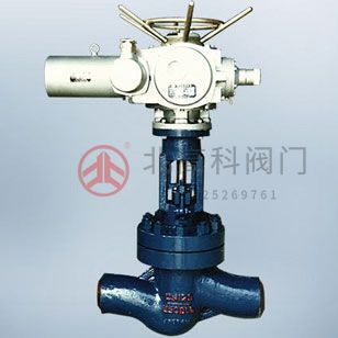 Z945X-10 型鑄鐵電動(dòng)暗桿軟密封閘閥